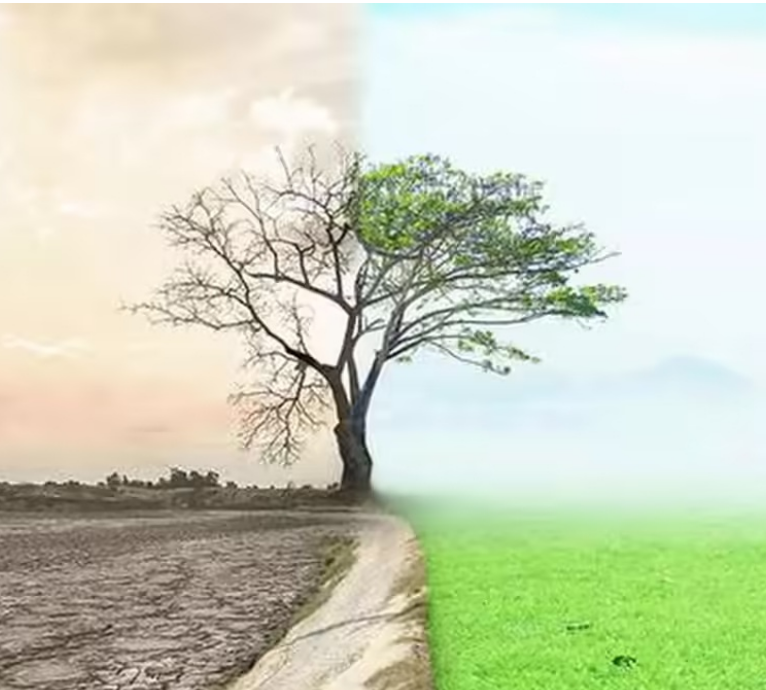 Đối với việc phát huy khả năng cạnh tranh của Ấn Độ: Chuyển đổi khí hậu là động lực hay trở ngại?